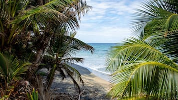 On the beach, sun-loungers