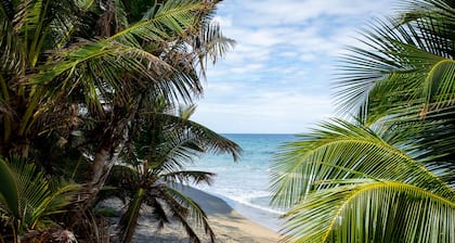 Casa Del Mar Beachfront House on quiet beach, surf out front, tidepools for kids
