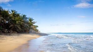 A beach with clear skies, palm trees, and calm waves.