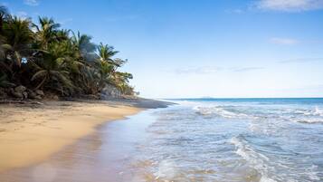 En la playa y camastros