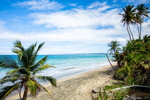 En la playa y camastros