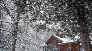 A wooden cabin with large windows, surrounded by snow-covered trees. - Luxurious Waterfront with Mountain Views (Tupper Lake)