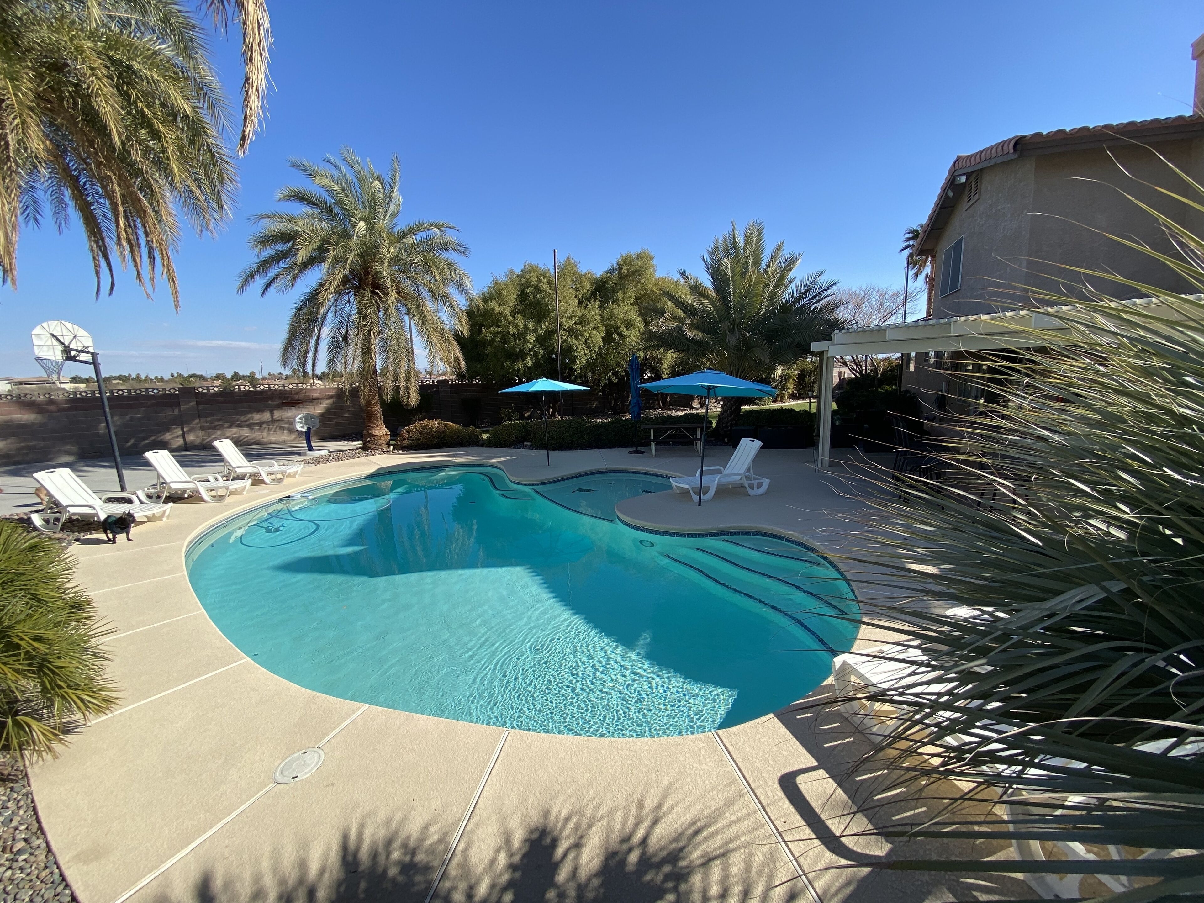 Family/Friend Fun getaway *Big Private Pool *Basketball court *firepit