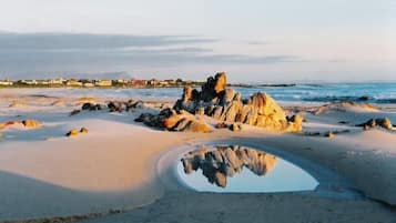 Serviettes de plage