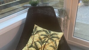 A wicker lounge chair with a cushion, positioned by a window with a view of a wooden fence and a building.
