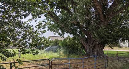 Chappell Haul Hay Farm House