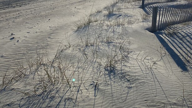 Een zandstrand met een houten omheining en een heldere lucht.