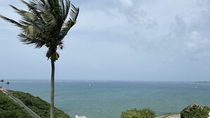 A coastal landscape with a palm tree, a grassy slope, and a view of the ocean. - Stunning Resort Apartment at Las Casitas (Fajardo)