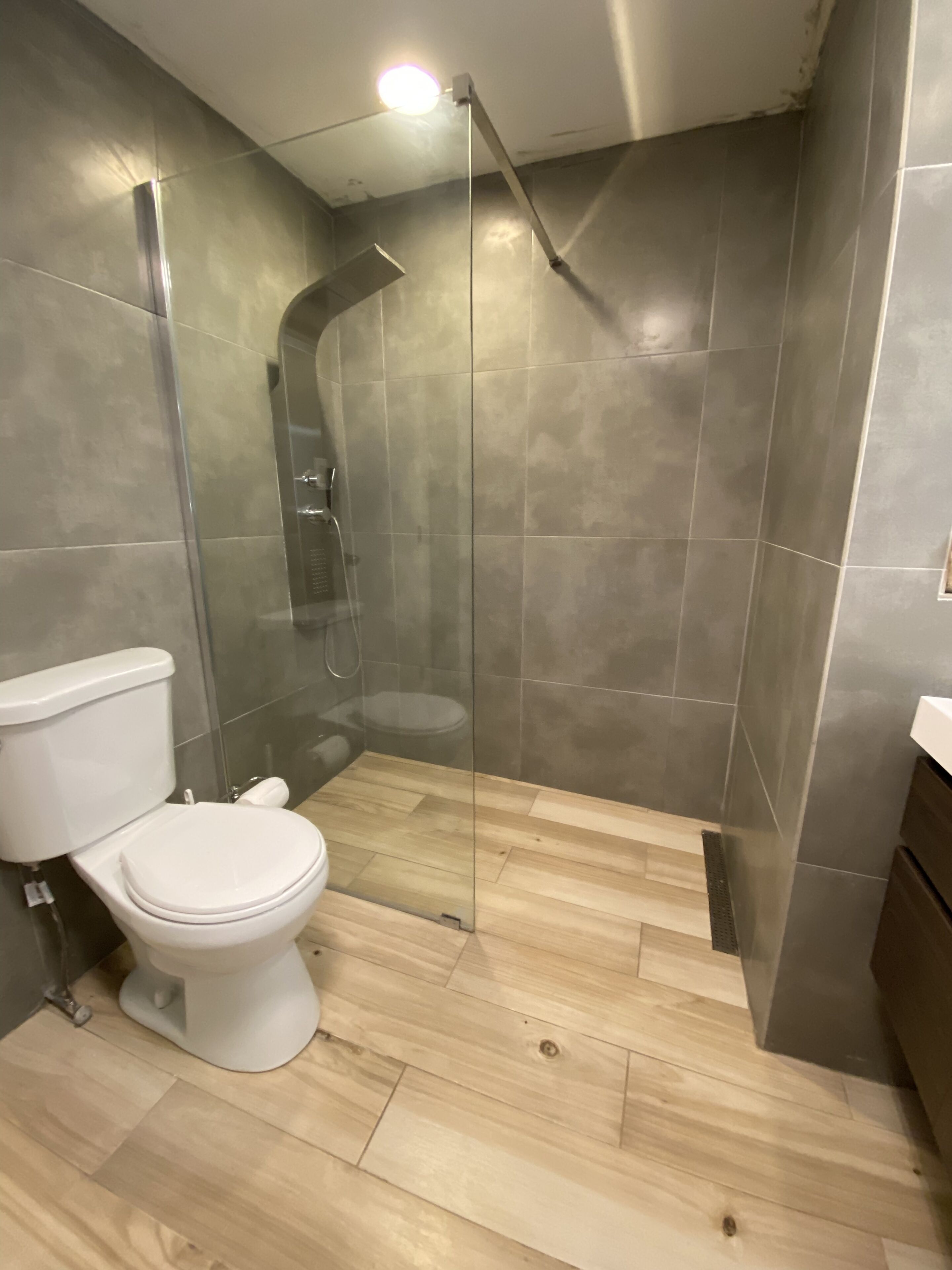 A modern bathroom with a toilet, shower, and glass-enclosed shower area.
