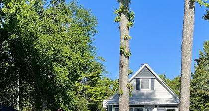 Waterfront MI Cottage on Douglas Lake between Petoskey & Mackinaw City