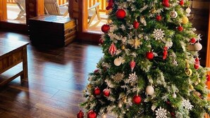 A cozy cabin interior with a large Christmas tree, wooden floors, and a deck visible through the windows. - NEW LISTING-IN-Cabin Pool-Arcades-King Beds (Sevierville)