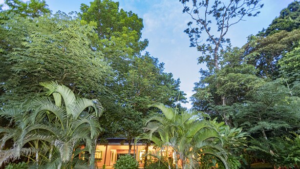 Um jardim exuberante com palmeiras e folhagem densa, um edifício com iluminação acolhedora e um lago ao fundo.