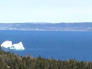 Miscellaneous - Brigus Valley View RV 2 of 2 Camping Experience (Brigus)