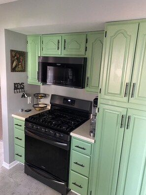 Fridge, microwave, oven, stovetop - Beautiful House w/ Private Beach! (Irving)