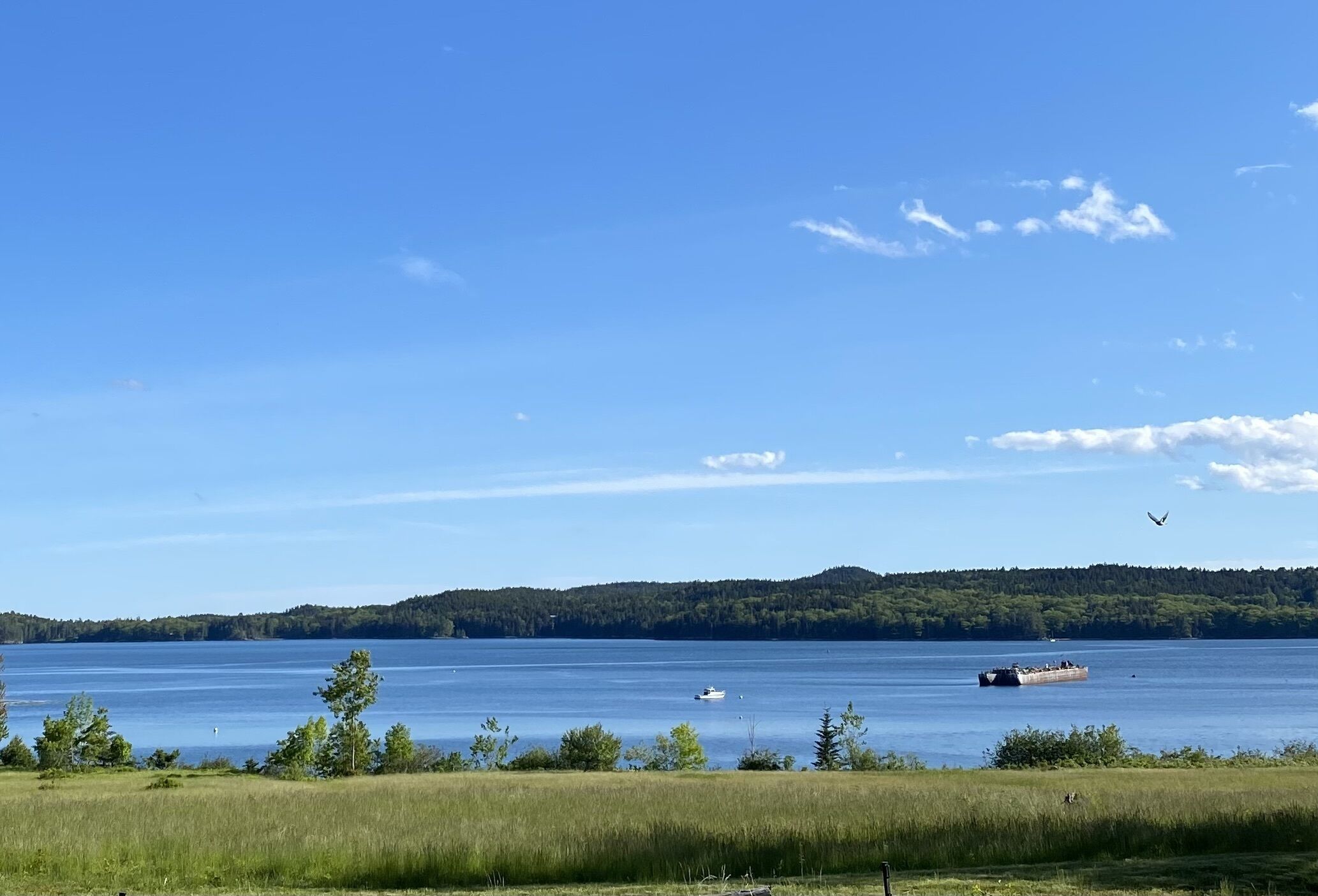Beautiful Home over looking Smith Cove on Bagaduce Farm
