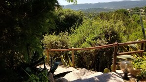 Un jardin entouré d’une clôture en bois, avec différentes espèces de plantes, et d’où l’on a une vue dégagée sur les collines lointaines.
