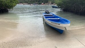 En lille blå og hvid båd med motor ved en sandstrand, omgivet af roligt vand og mangrove.
