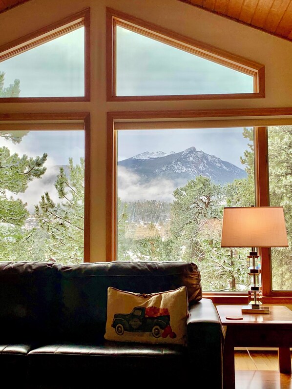 Smart TV, fireplace, video games, table football - Large House in Forest Setting-Amazing Views-Coaster Passes-Hot Tub-Game Room-A/C (Estes Park)
