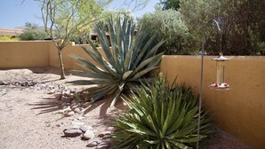 Property grounds - 2-Bedroom Condo in the Foothills, La Encantada, Galleries and Restaurants! (Tucson)