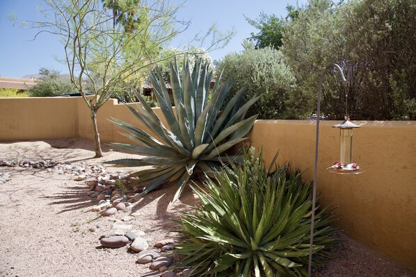 المنطقة المحيطة بالمنشأة