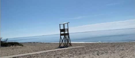 Plage à proximité, chaises longues, serviettes de plage