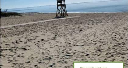 West Harwich- Cozy Cape House walking distance to Dennis Port & Bell's Neck path