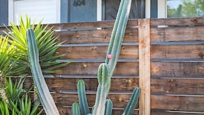 Une clôture en bois, agrémentée de cactus et d’un palmier, se trouve devant un bâtiment doté d’une porte de garage et d’un numéro « 604 » sur le mur.