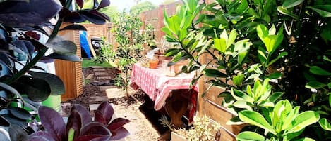 Un jardín con diversas plantas y una mesa cubierta con un mantel.
