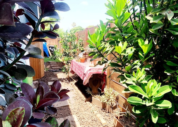 A garden with various plants and a table covered with a cloth. - Beautiful BOHO Home by Beach, Downtown + Shops (San Diego)