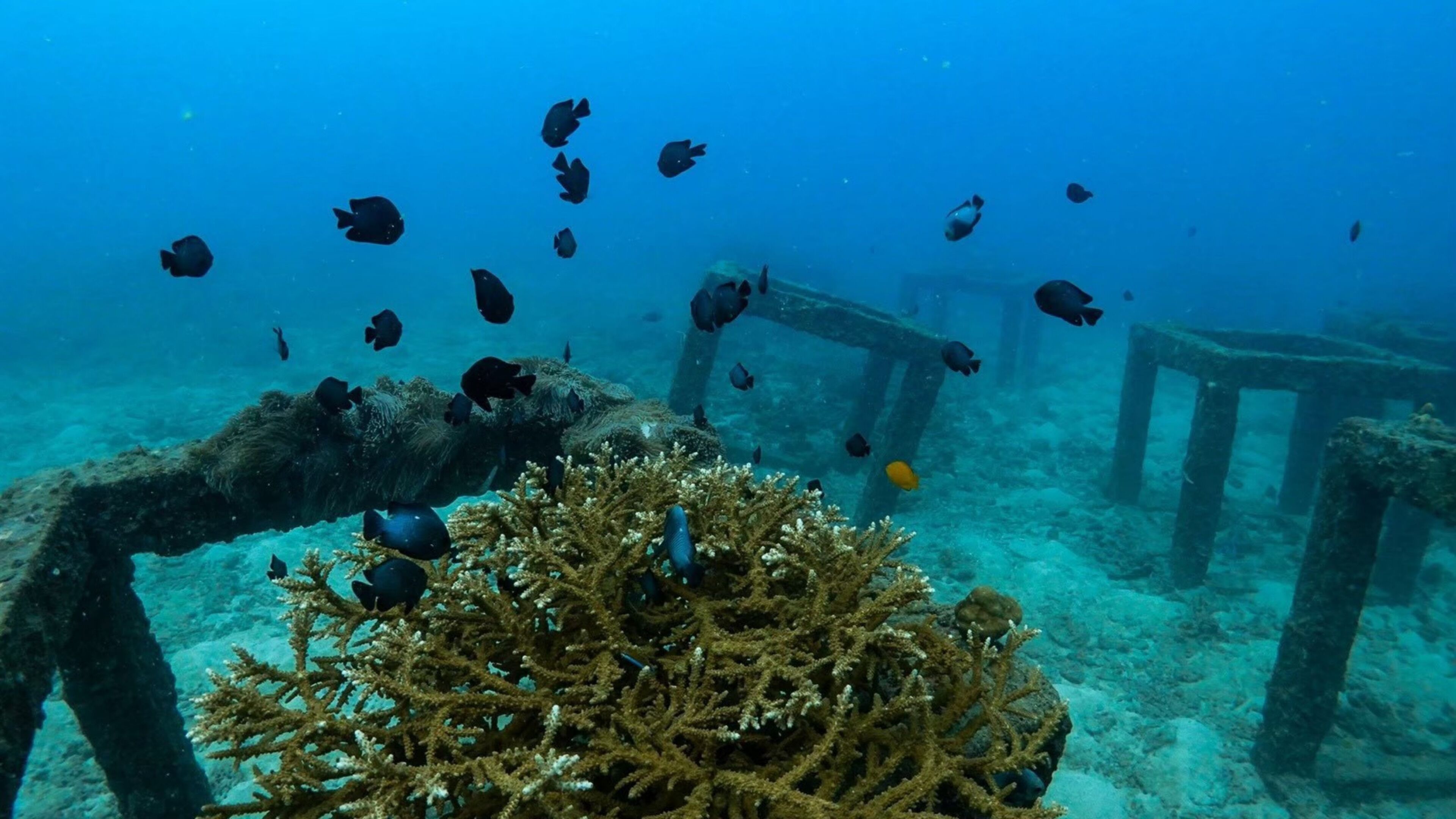 beach nearby, white sand