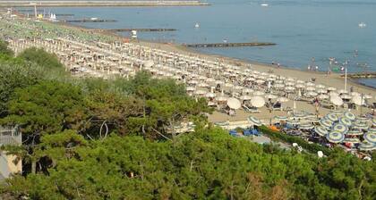 Beautiful House in a Great Location Near the Beach by Beahost Rentals