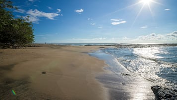 Bungalou, 1 dormitori, pati, vistes al jardí | Platja