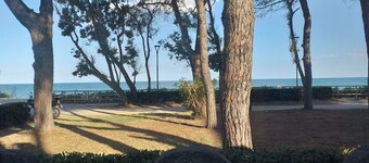 Room in B&B - Spacious Double Room Beside the sea