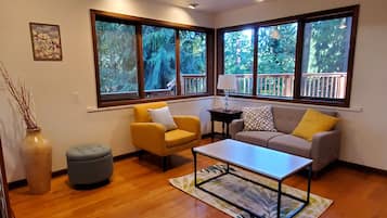 TV connectée, cheminée, livres