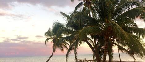 Ubicación cercana a la playa, tumbonas y toallas de playa