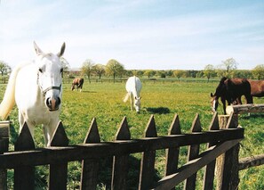 Nicht klassifiziertes Bild, 4 von 18, Schaltfläche
