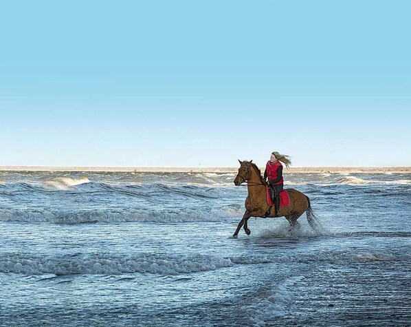 Unclassified image, 1 of 18, button