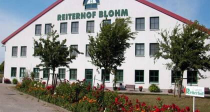 Apartment 7 equestrian facility - riding and holiday farm Blohm - object 26099