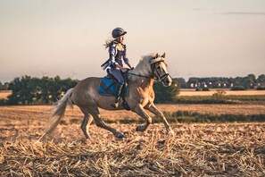 Photo non classée, 2 sur 18, bouton