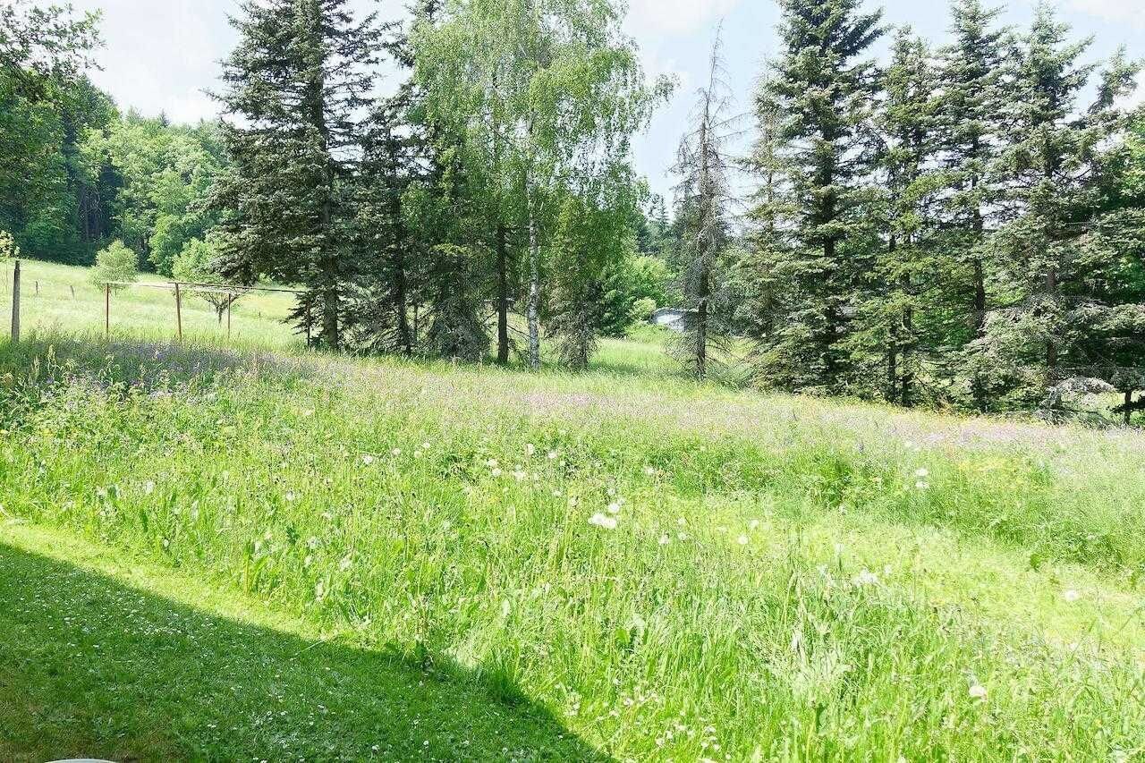 Un champ herbeux avec des arbres et une clôture.