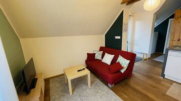 Smart TV, DVD player, books, music library