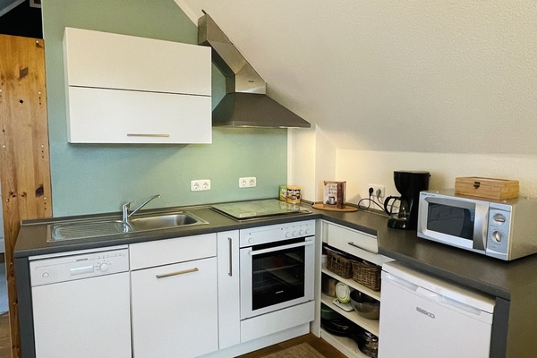 Frigorífic, microones, forn i placa de cuina