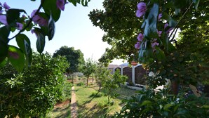 A garden with a pathway, trees, and a building in the background. - Apartment Kristijan Sleeps 2 With Wi-fi (Zadar)