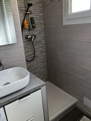 Regadera, secadora de cabello, papel de baño 