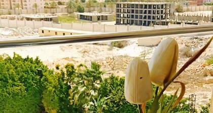 Siesta Hotel