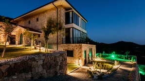 Una casa moderna de dos pisos con fachada de piedra, ventanas amplias y un espacio exterior luminoso con un sendero y vegetación.
