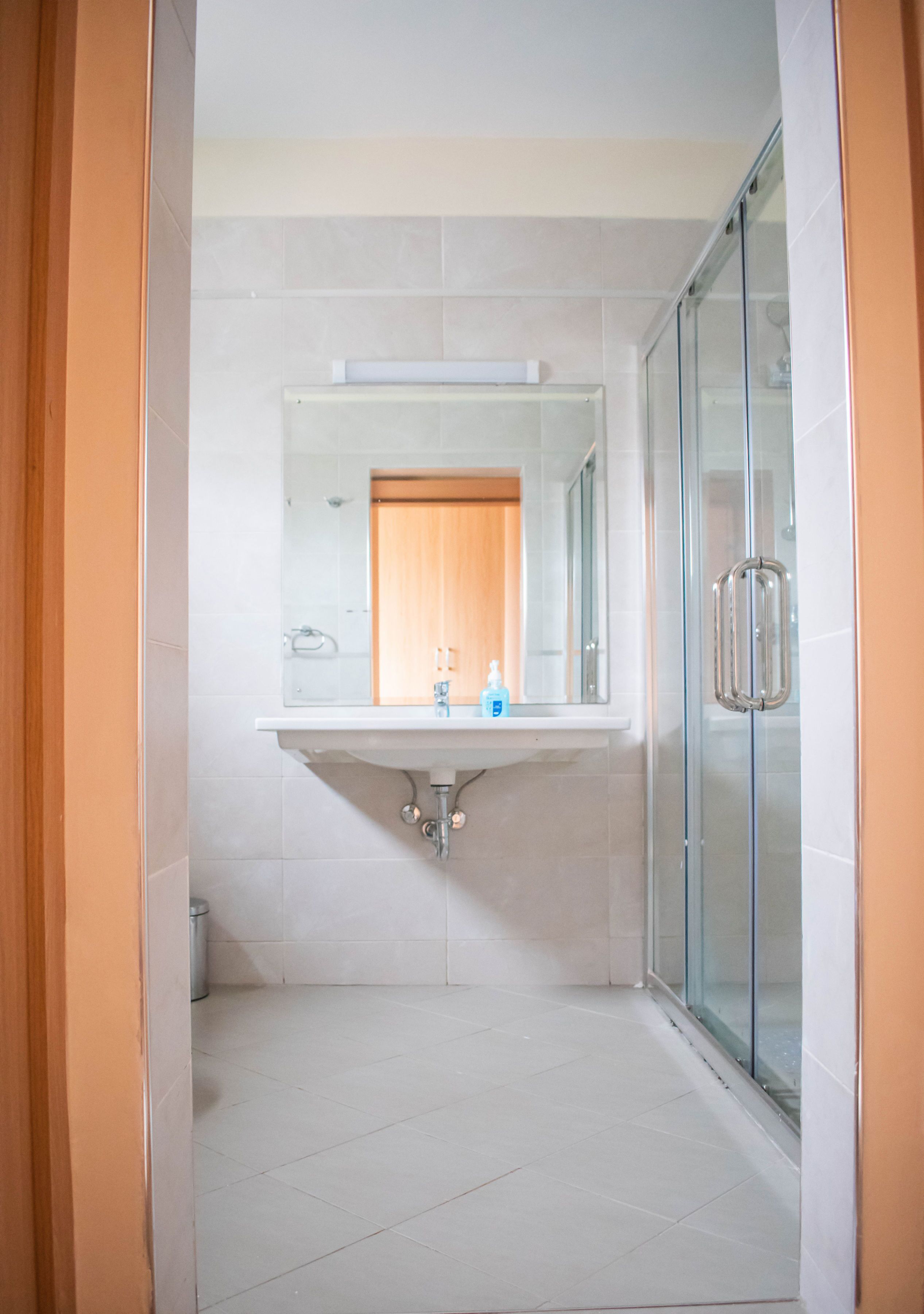 A modern bathroom with a glass shower enclosure, a white sink with a mirror above it, and a wooden door in the background.