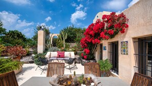 Une terrasse extérieure avec une table, des chaises et un cactus servant de décoration centrale.