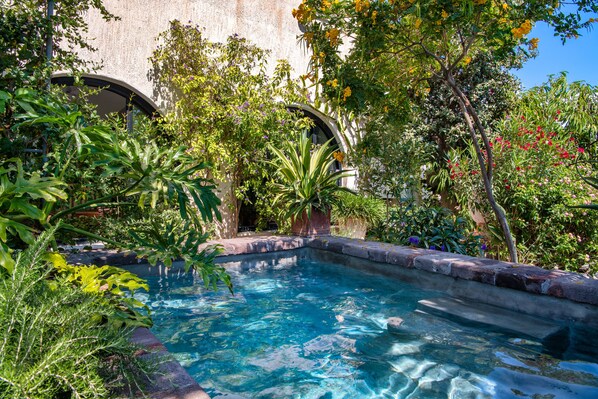 Une piscine entourée d’une végétation luxuriante et d’un mur de pierre.