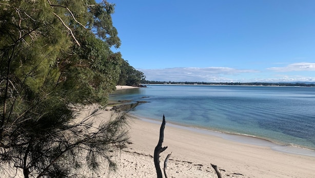 A beach with clear water, sandy shore, and dense trees. - Our Beach House by Experience Jervis Bay (Vincentia)
